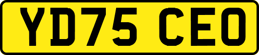 YD75CEO