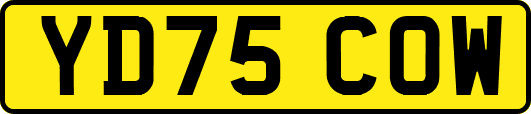 YD75COW