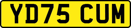 YD75CUM