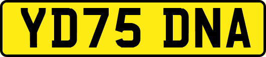 YD75DNA