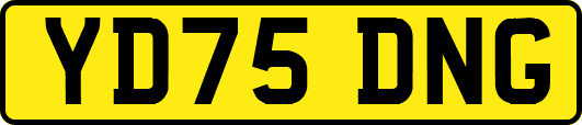 YD75DNG