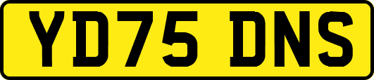 YD75DNS