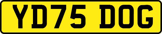 YD75DOG