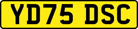 YD75DSC