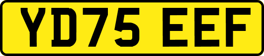 YD75EEF