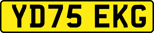 YD75EKG