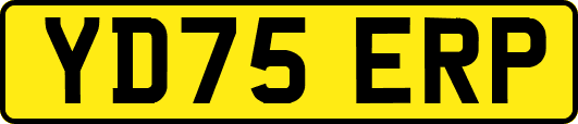 YD75ERP