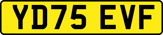 YD75EVF