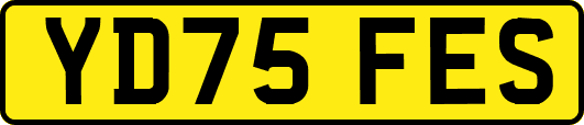 YD75FES