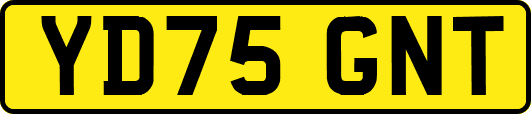 YD75GNT