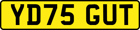 YD75GUT