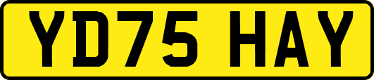 YD75HAY