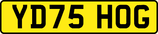 YD75HOG
