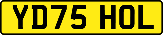 YD75HOL