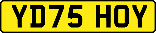 YD75HOY