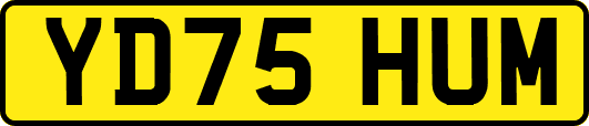 YD75HUM
