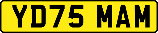 YD75MAM