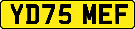 YD75MEF