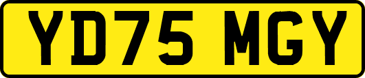 YD75MGY