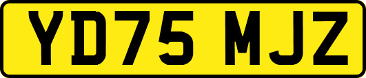 YD75MJZ