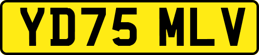 YD75MLV