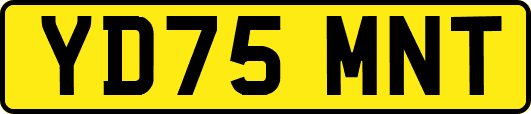 YD75MNT
