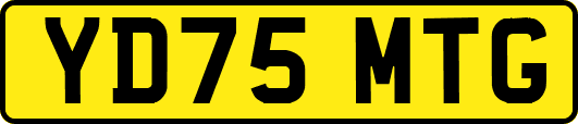 YD75MTG