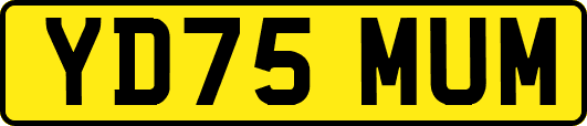 YD75MUM