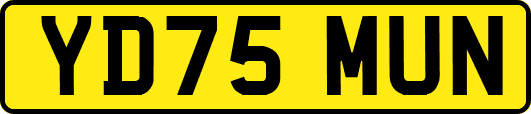 YD75MUN
