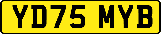 YD75MYB