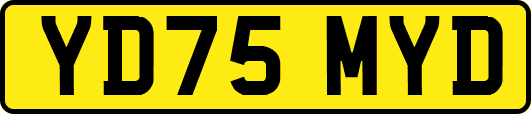 YD75MYD