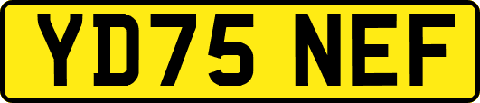 YD75NEF