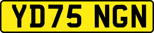 YD75NGN