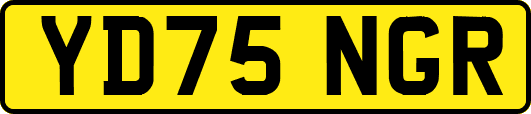 YD75NGR