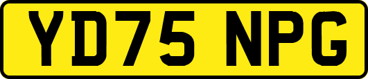 YD75NPG