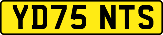 YD75NTS