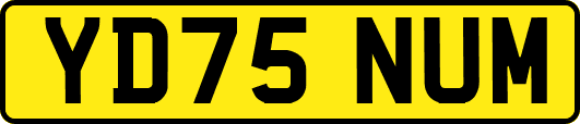 YD75NUM