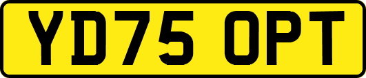 YD75OPT