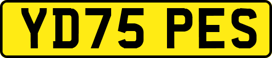 YD75PES