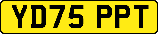 YD75PPT
