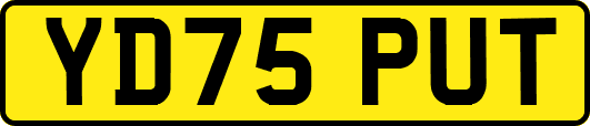 YD75PUT