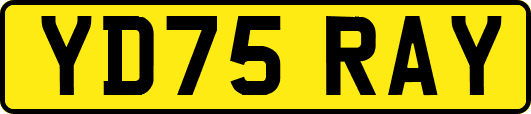 YD75RAY