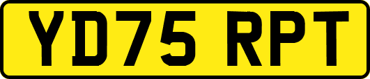 YD75RPT