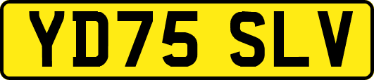 YD75SLV