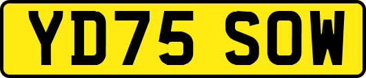 YD75SOW