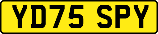 YD75SPY