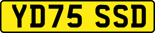 YD75SSD