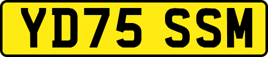 YD75SSM