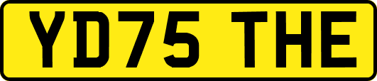 YD75THE