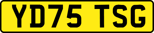 YD75TSG